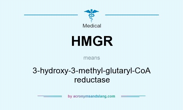 What does HMGR mean? It stands for 3-hydroxy-3-methyl-glutaryl-CoA reductase