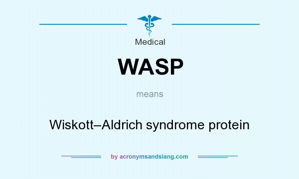 What does WASP mean? It stands for Wiskott–Aldrich syndrome protein