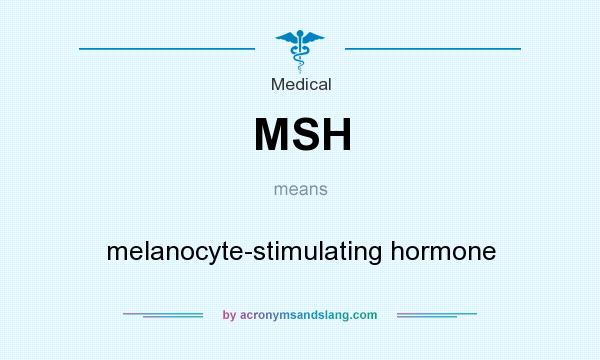 What does MSH mean? It stands for melanocyte-stimulating hormone