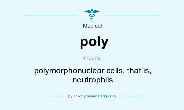 What does poly mean? It stands for polymorphonuclear cells, that is, neutrophils