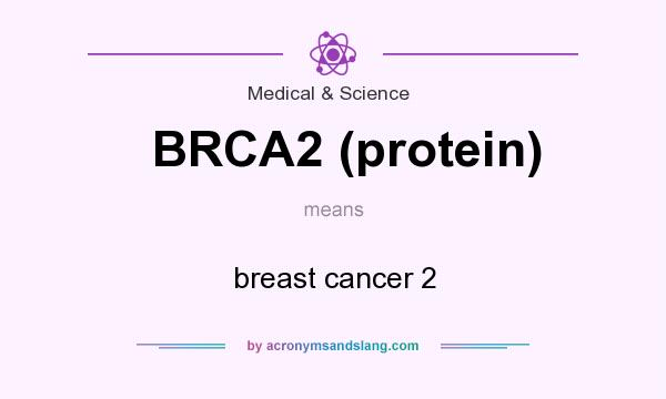 What does BRCA2 (protein) mean? It stands for breast cancer 2