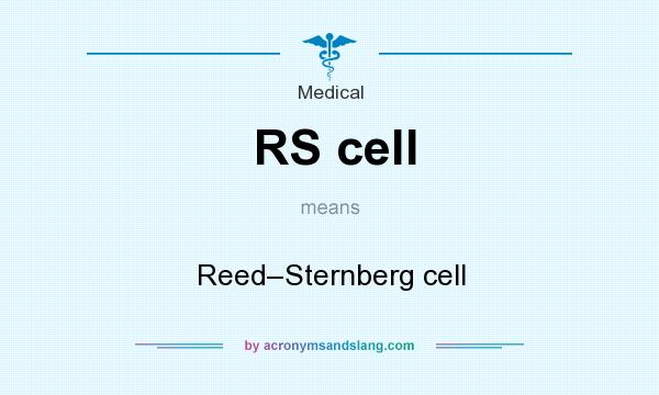 What does RS cell mean? It stands for Reed–Sternberg cell