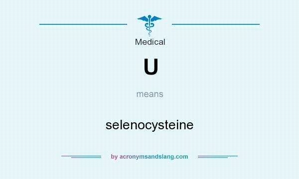 What does U mean? It stands for selenocysteine