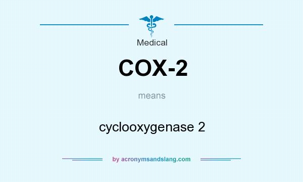 What does COX-2 mean? It stands for cyclooxygenase 2