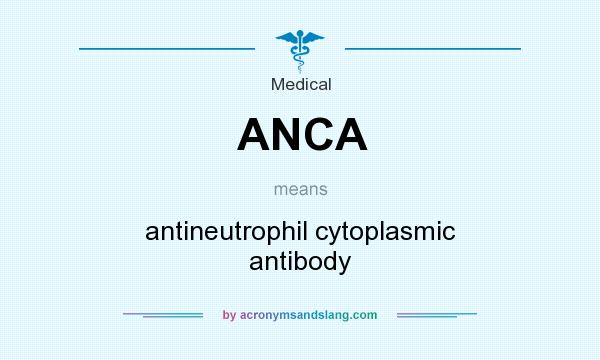What does ANCA mean? It stands for antineutrophil cytoplasmic antibody