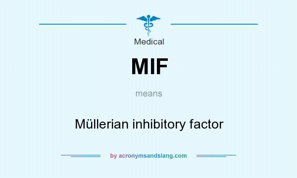 What does MIF mean? It stands for Müllerian inhibitory factor