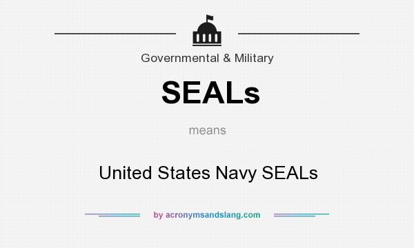 What does SEALs mean? It stands for United States Navy SEALs
