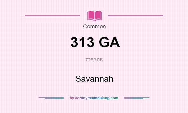 What does 313 GA mean? It stands for Savannah