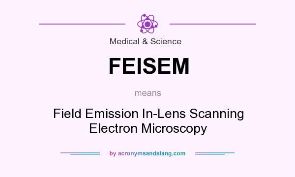 What does FEISEM mean? It stands for Field Emission In-Lens Scanning Electron Microscopy