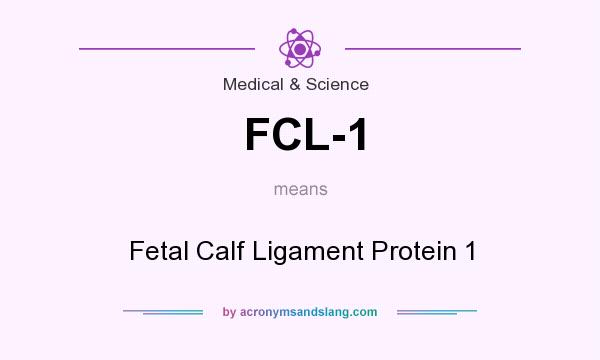 What does FCL-1 mean? It stands for Fetal Calf Ligament Protein 1