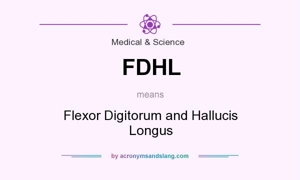 What does FDHL mean? It stands for Flexor Digitorum and Hallucis Longus