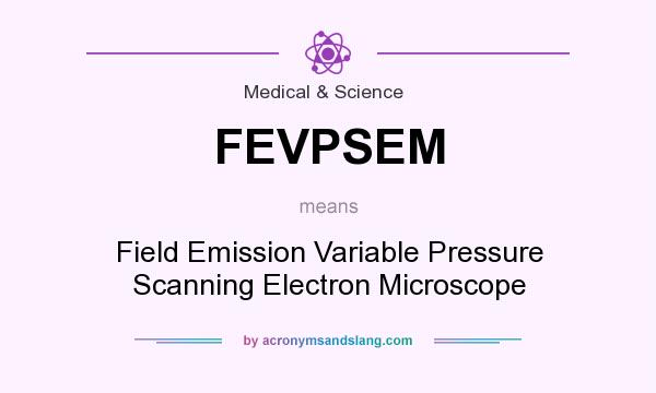 What does FEVPSEM mean? It stands for Field Emission Variable Pressure Scanning Electron Microscope