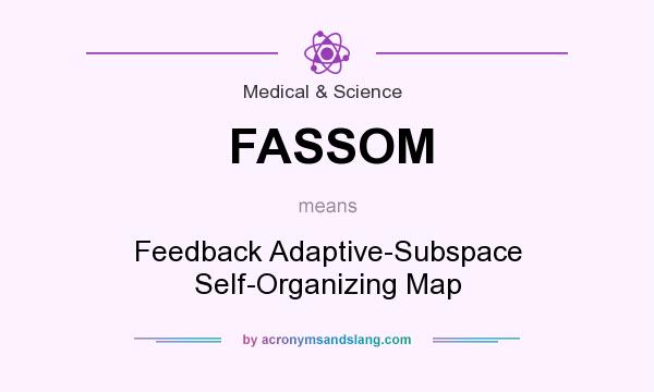 What does FASSOM mean? It stands for Feedback Adaptive-Subspace Self-Organizing Map