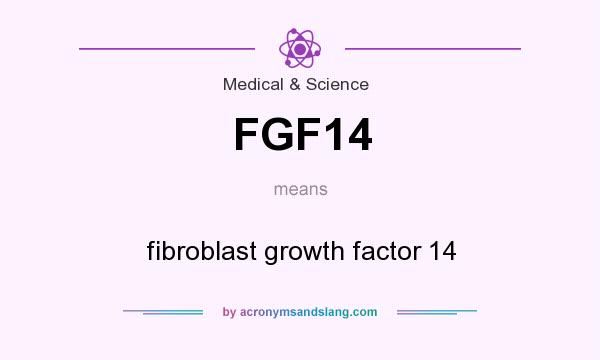 What does FGF14 mean? It stands for fibroblast growth factor 14