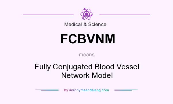 What does FCBVNM mean? It stands for Fully Conjugated Blood Vessel Network Model