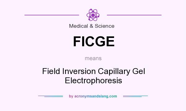 What does FICGE mean? It stands for Field Inversion Capillary Gel Electrophoresis