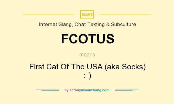 What does FCOTUS mean? It stands for First Cat Of The USA (aka Socks) :-)