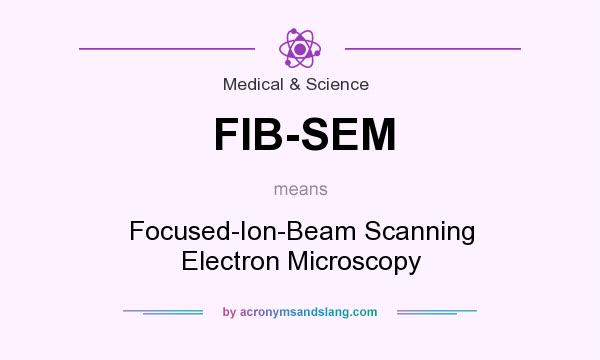 What does FIB-SEM mean? It stands for Focused-Ion-Beam Scanning Electron Microscopy