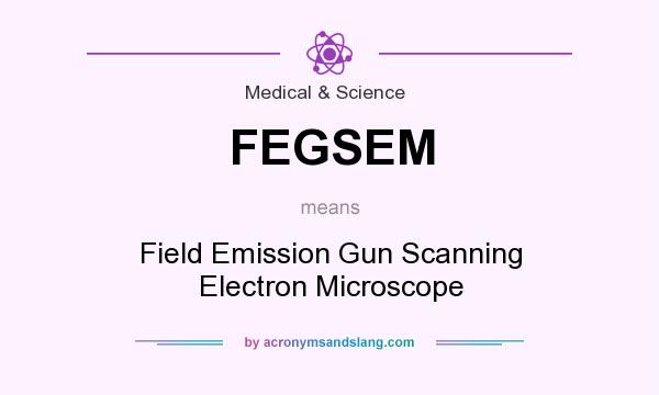 What does FEGSEM mean? It stands for Field Emission Gun Scanning Electron Microscope