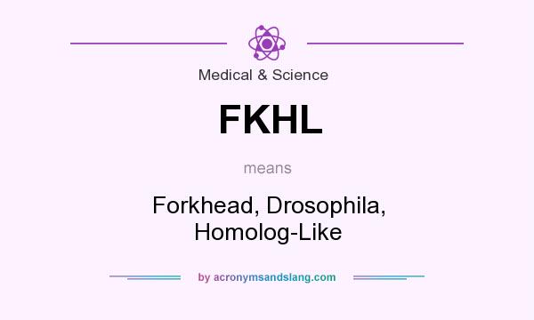 What does FKHL mean? It stands for Forkhead, Drosophila, Homolog-Like