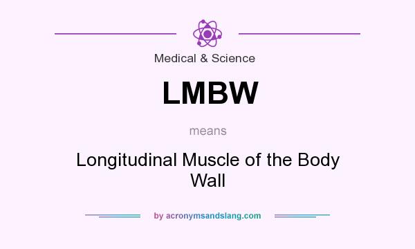 What does LMBW mean? It stands for Longitudinal Muscle of the Body Wall