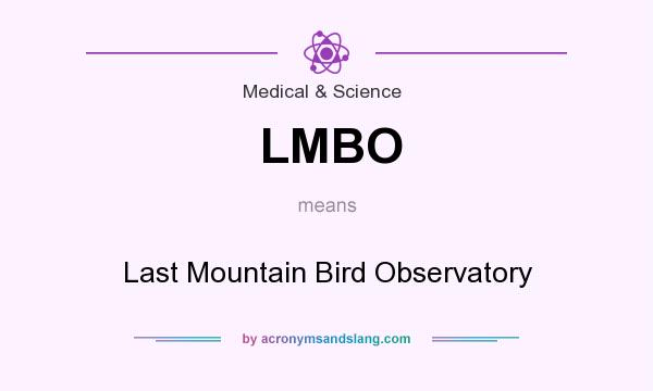 What does LMBO mean? It stands for Last Mountain Bird Observatory