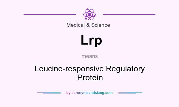 What does Lrp mean? It stands for Leucine-responsive Regulatory Protein