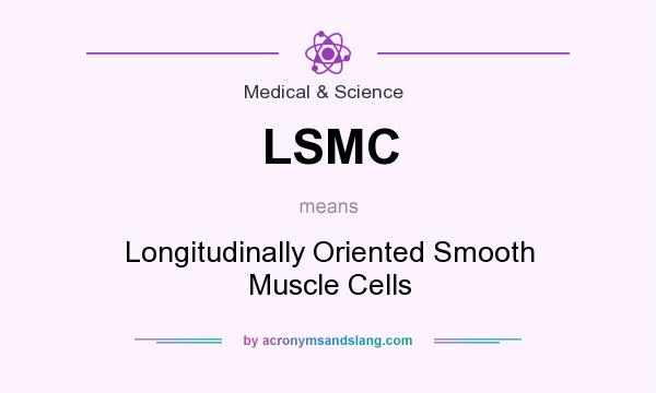 What does LSMC mean? It stands for Longitudinally Oriented Smooth Muscle Cells