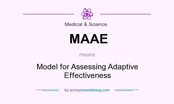 What does MAAE mean? It stands for Model for Assessing Adaptive Effectiveness