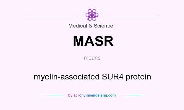 What does MASR mean? It stands for myelin-associated SUR4 protein