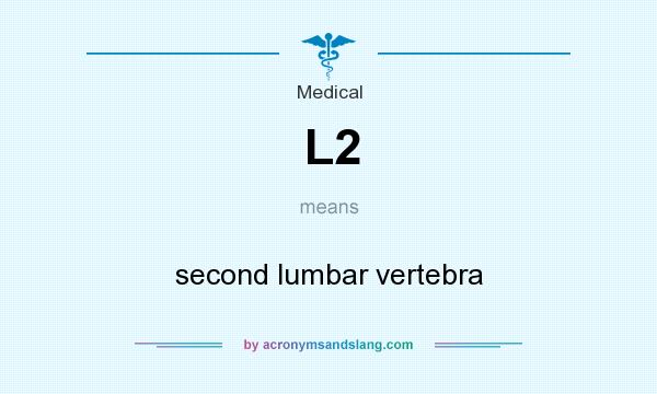 What does L2 mean? It stands for second lumbar vertebra