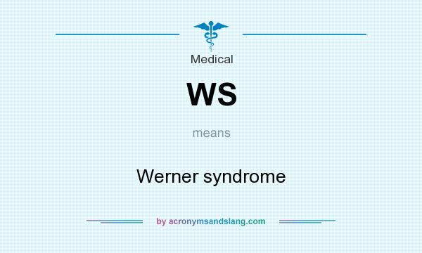 What does WS mean? It stands for Werner syndrome