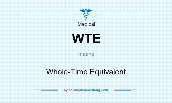 What does WTE mean? It stands for Whole-Time Equivalent
