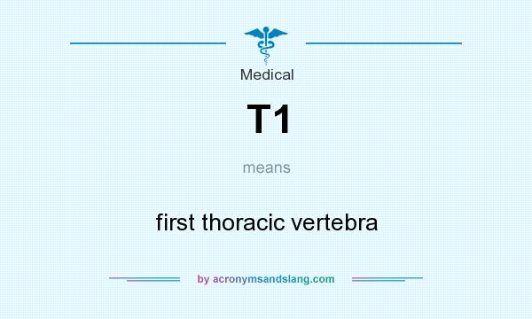 What does T1 mean? It stands for first thoracic vertebra