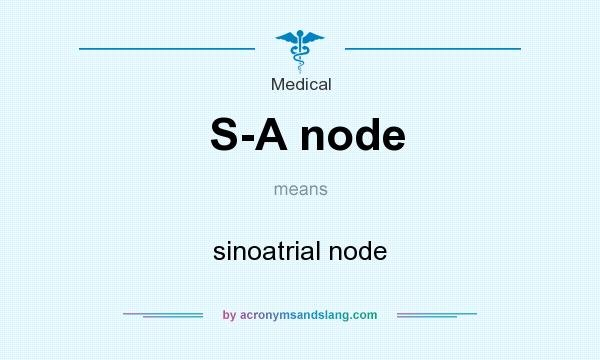 What does S-A node mean? It stands for sinoatrial node