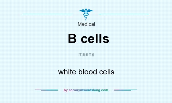 What does B cells mean? It stands for white blood cells