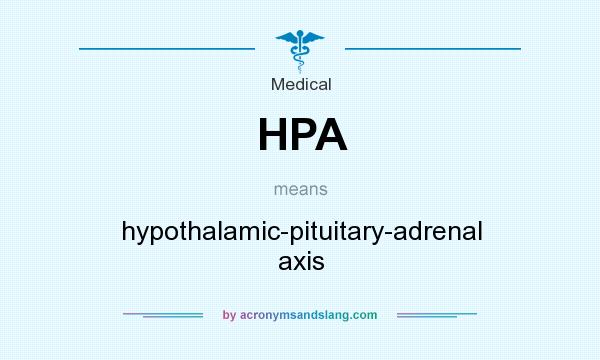 What does HPA mean? It stands for hypothalamic-pituitary-adrenal axis