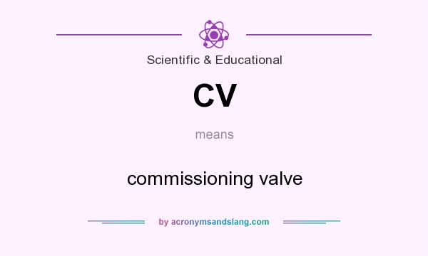 What does CV mean? It stands for commissioning valve
