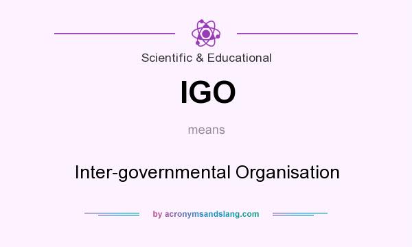 What does IGO mean? It stands for Inter-governmental Organisation