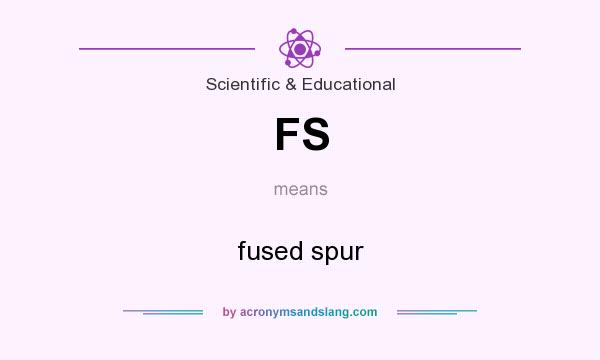 What does FS mean? It stands for fused spur