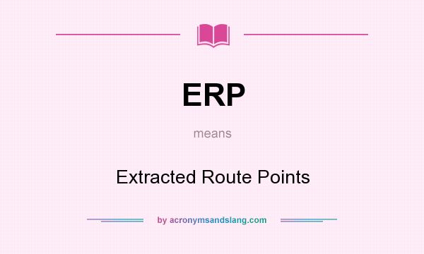 What does ERP mean? It stands for Extracted Route Points