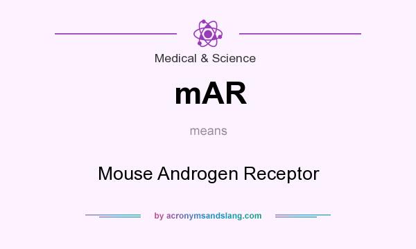 What does mAR mean? It stands for Mouse Androgen Receptor