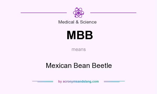 What does MBB mean? It stands for Mexican Bean Beetle