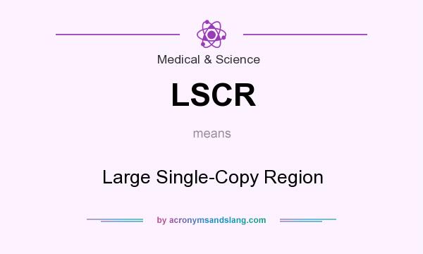What does LSCR mean? It stands for Large Single-Copy Region