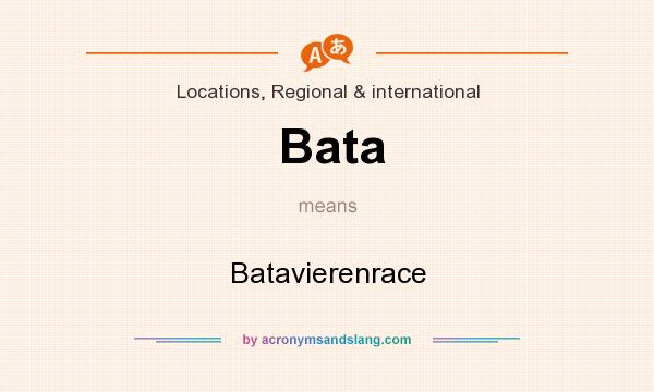 What does Bata mean? It stands for Batavierenrace
