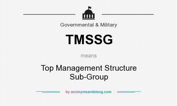 What does TMSSG mean? It stands for Top Management Structure Sub-Group