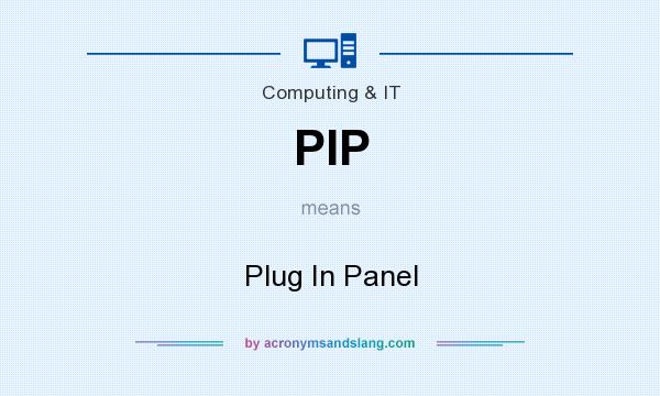 What does PIP mean? It stands for Plug In Panel
