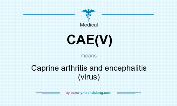 What does CAE(V) mean? It stands for Caprine arthritis and encephalitis (virus)
