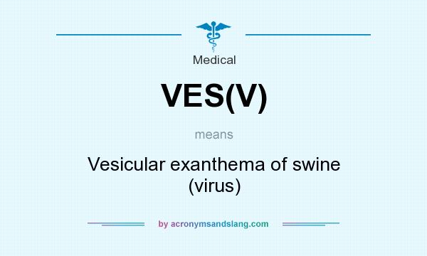 What does VES(V) mean? It stands for Vesicular exanthema of swine (virus)