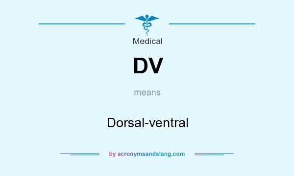 What does DV mean? It stands for Dorsal-ventral